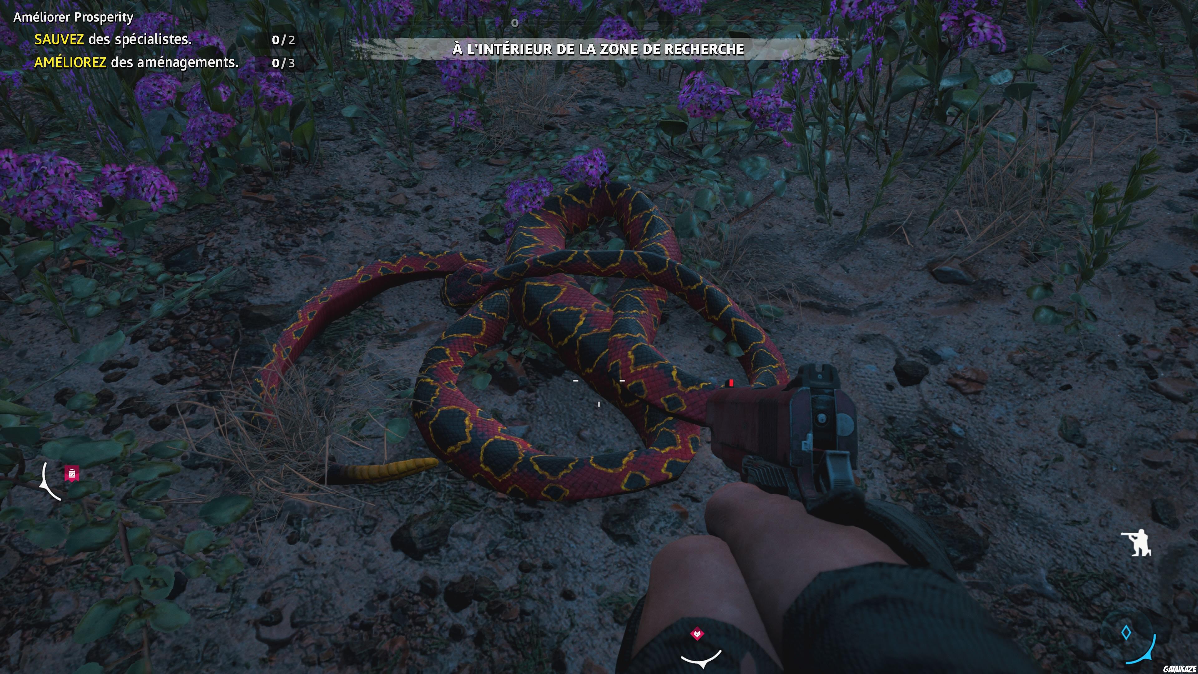 Far Cry : New Dawn