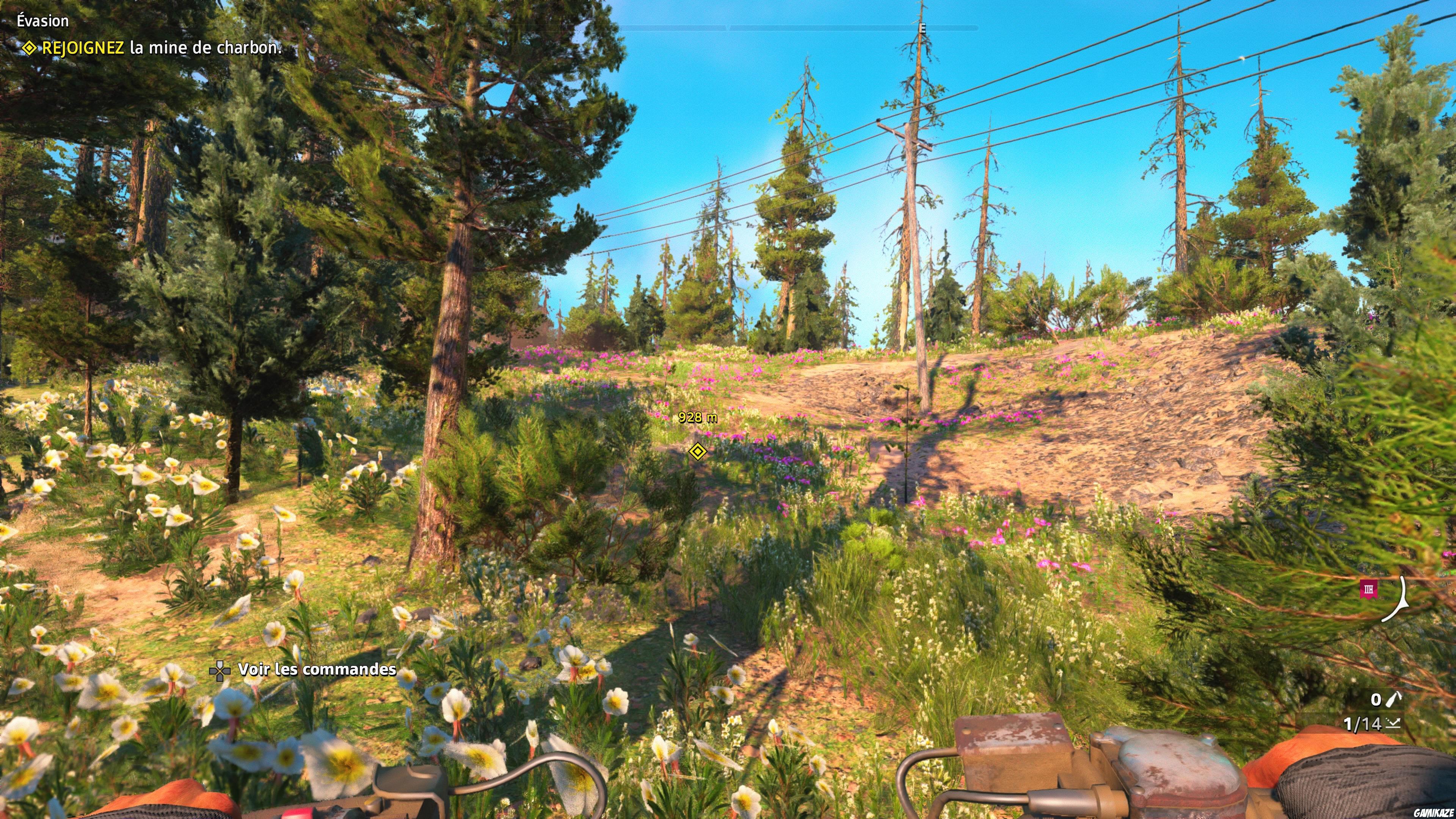 Far Cry : New Dawn