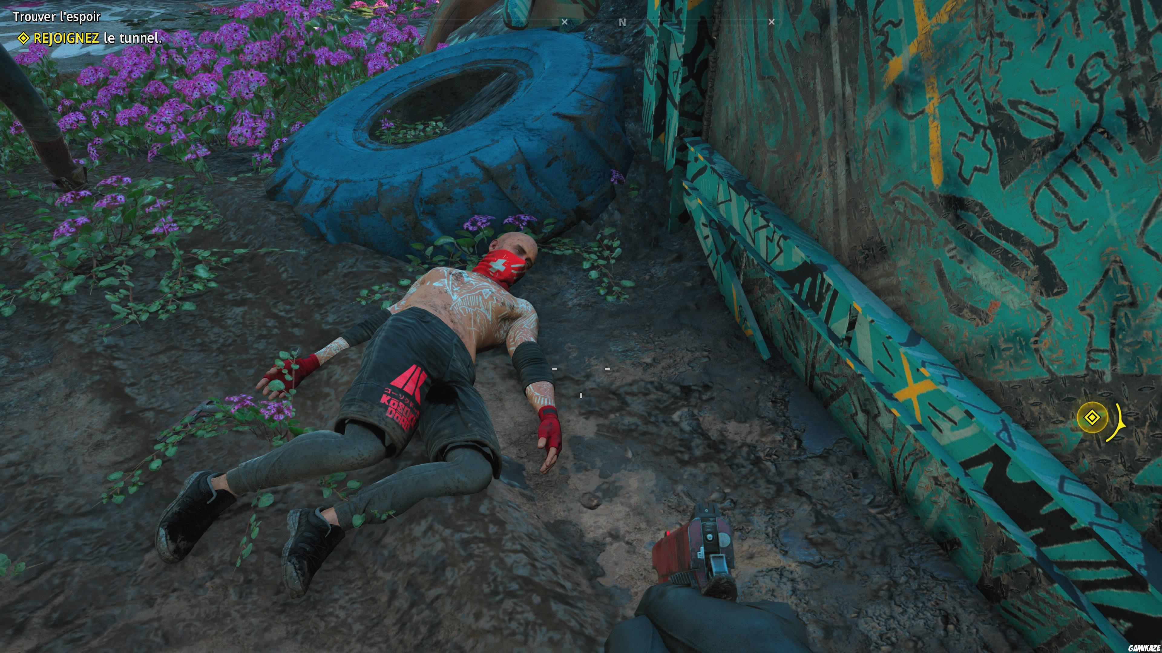 Far Cry : New Dawn