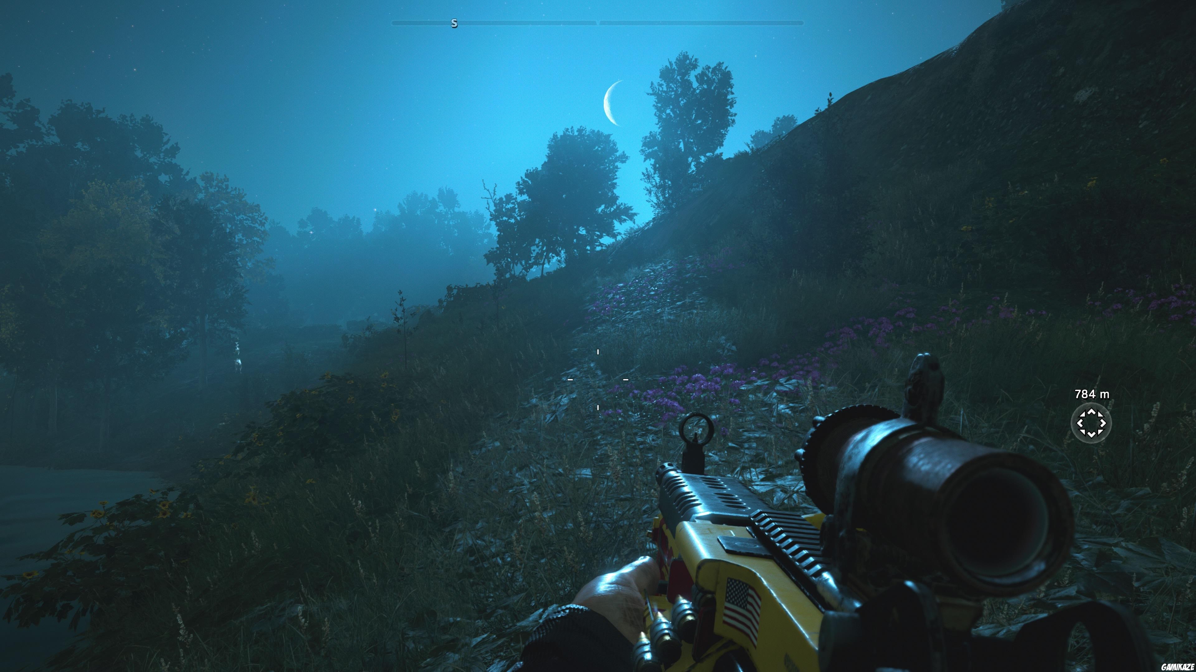 Far Cry : New Dawn