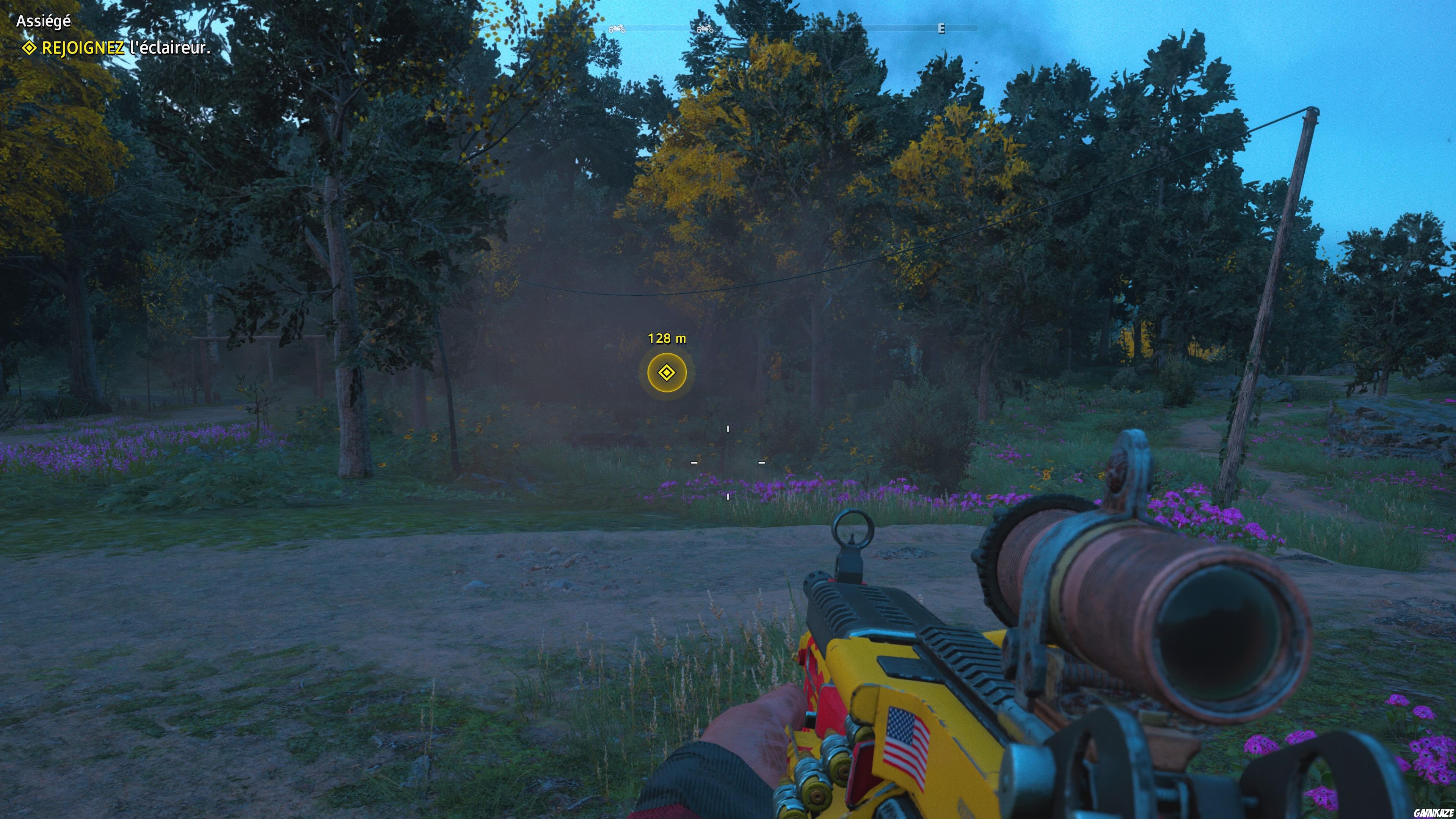 Far Cry : New Dawn