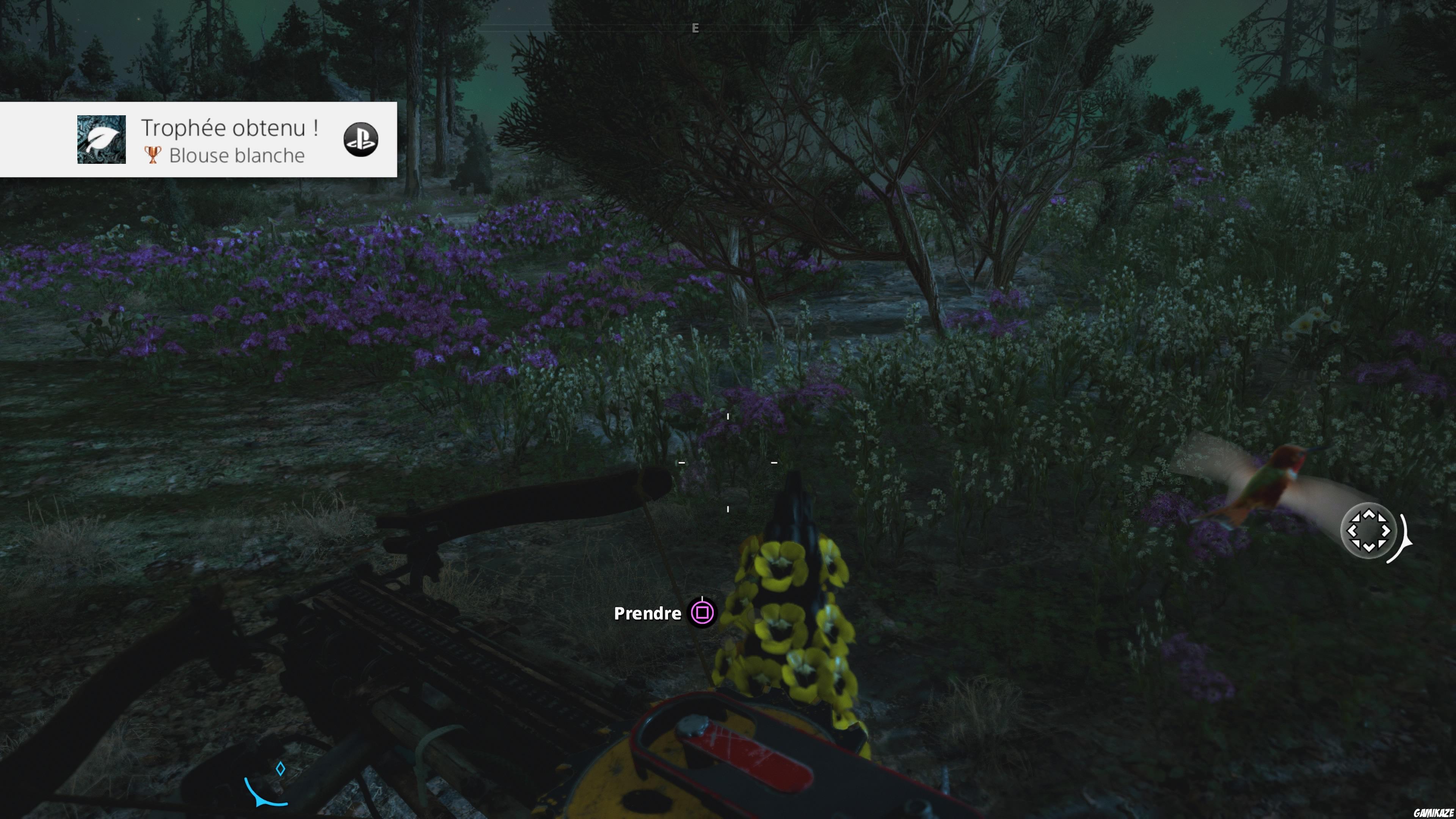 Far Cry : New Dawn