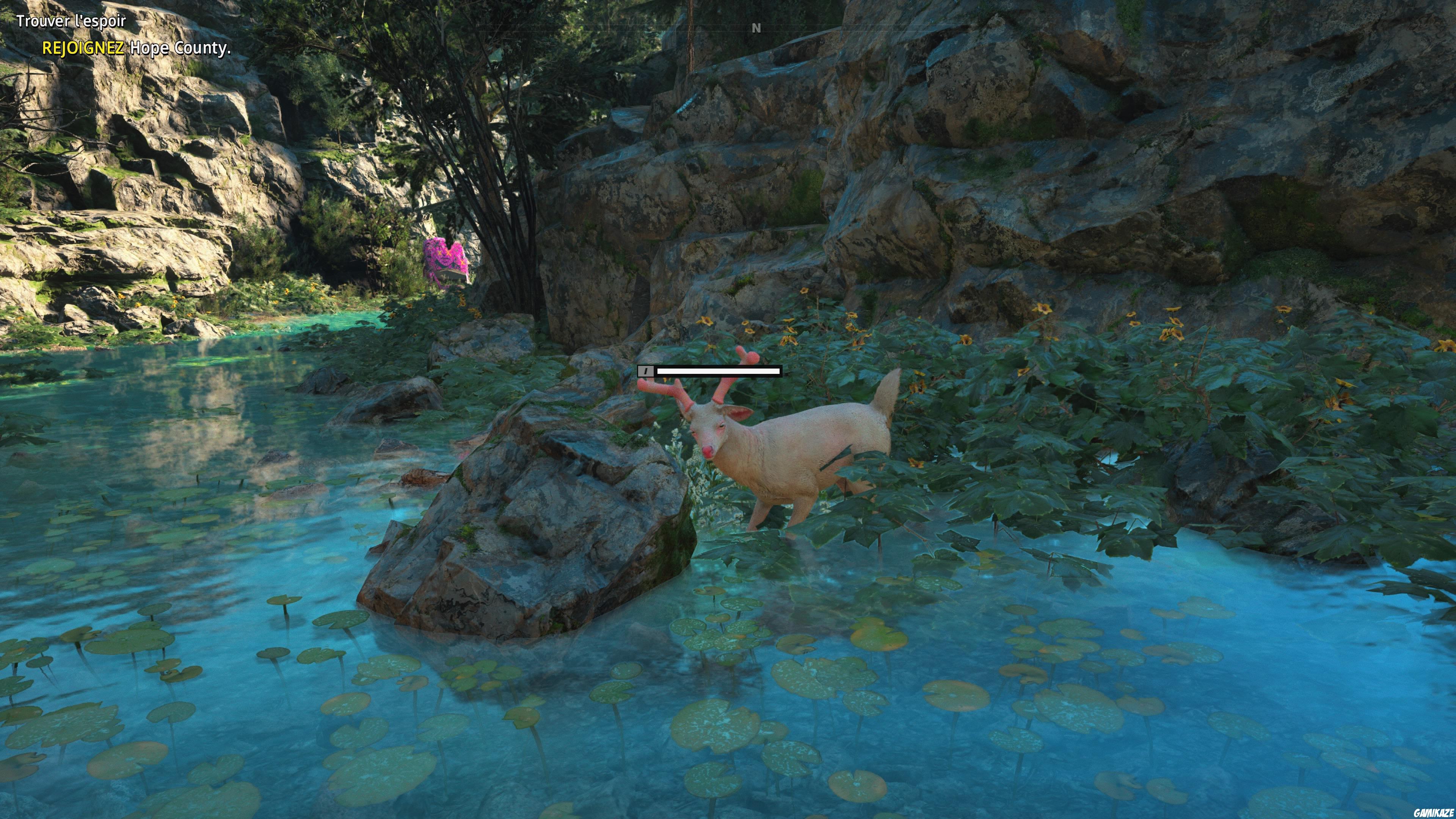Far Cry : New Dawn