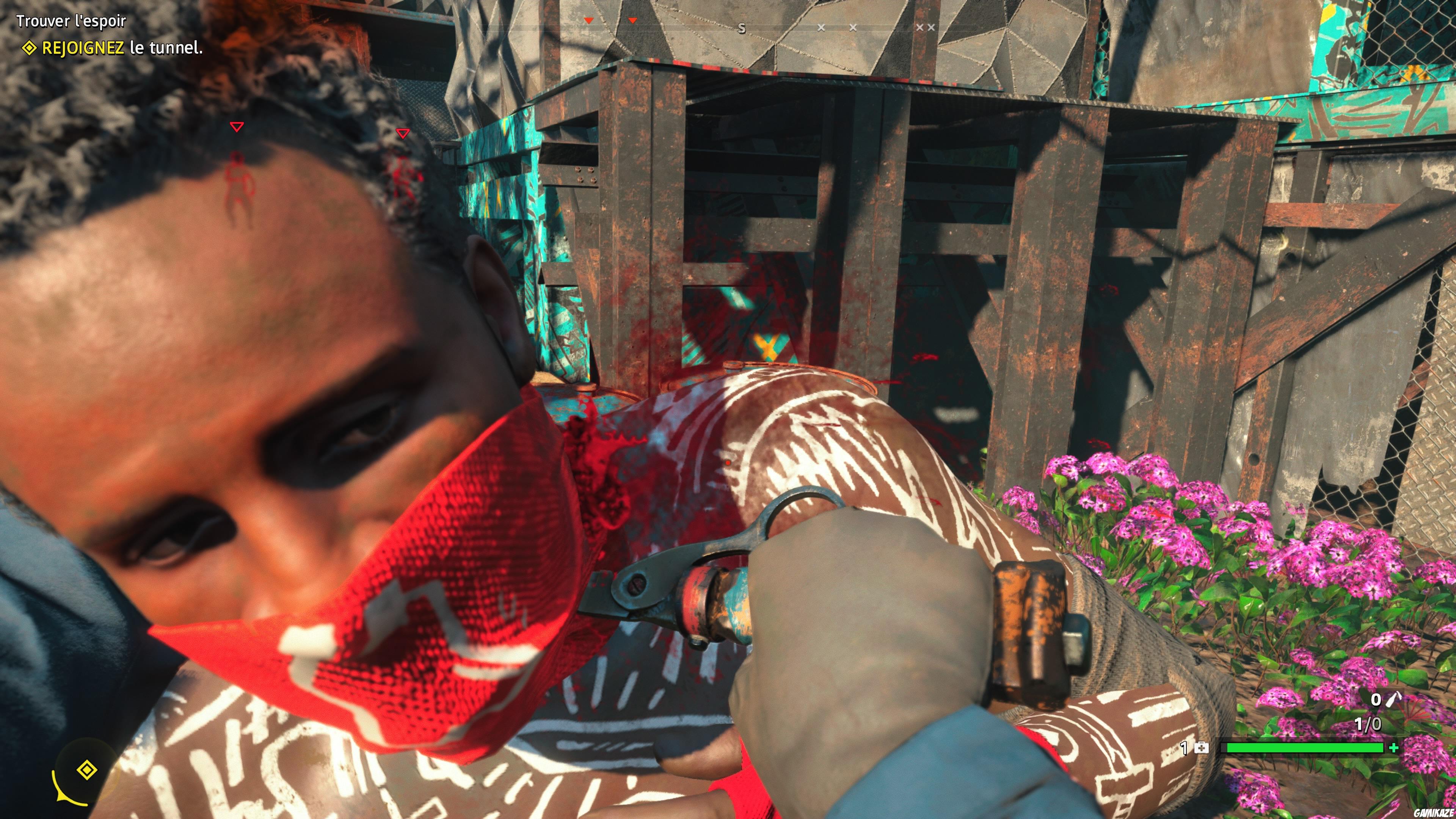 Far Cry : New Dawn