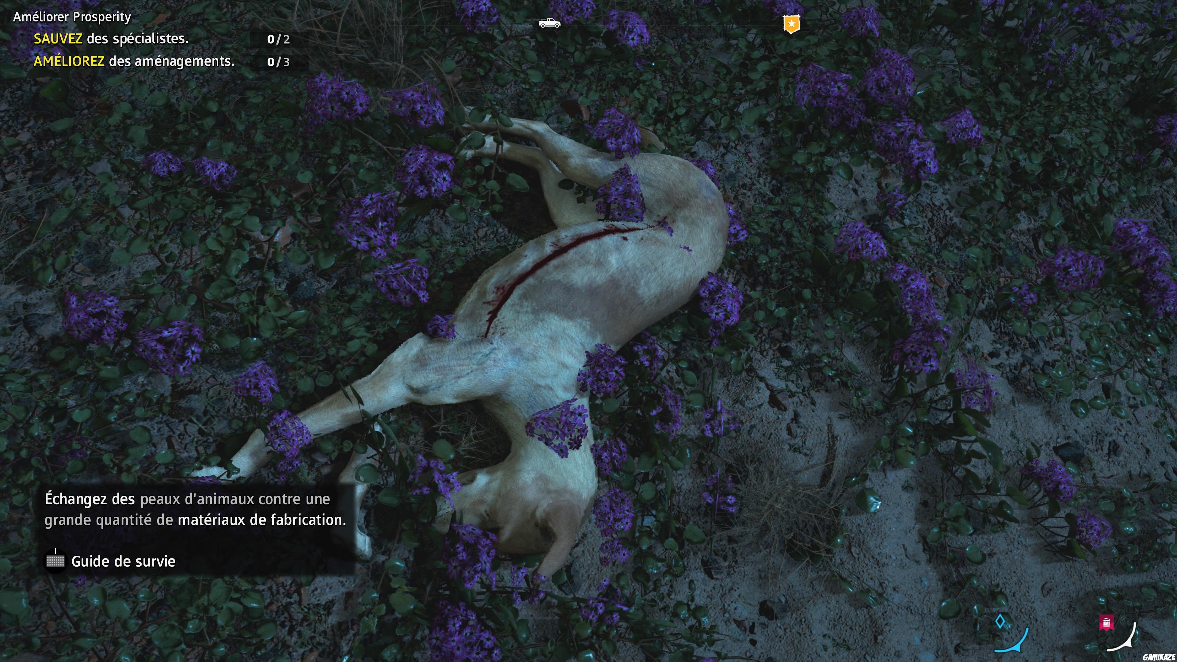 Far Cry : New Dawn