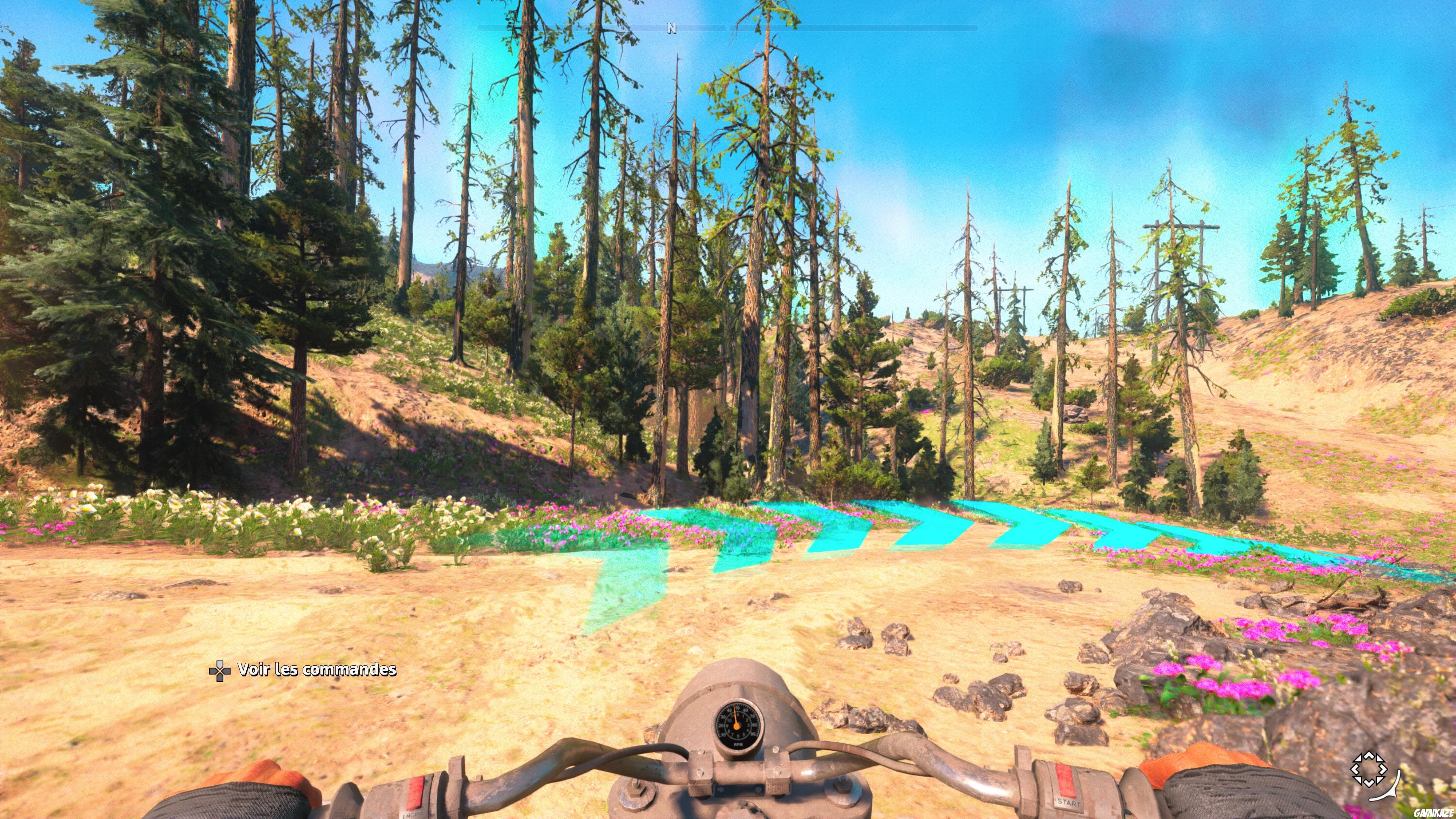 Far Cry : New Dawn