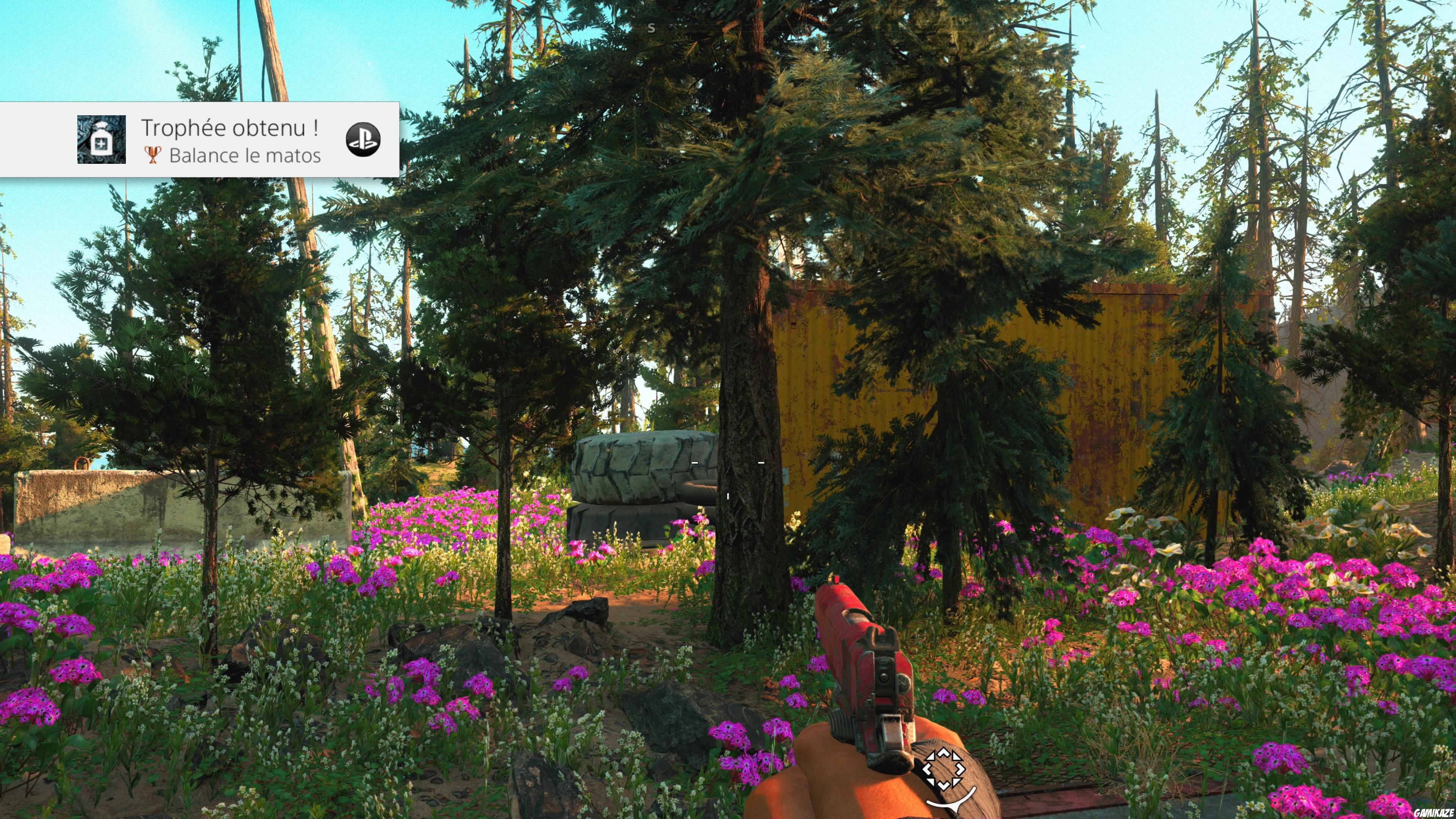 Far Cry : New Dawn