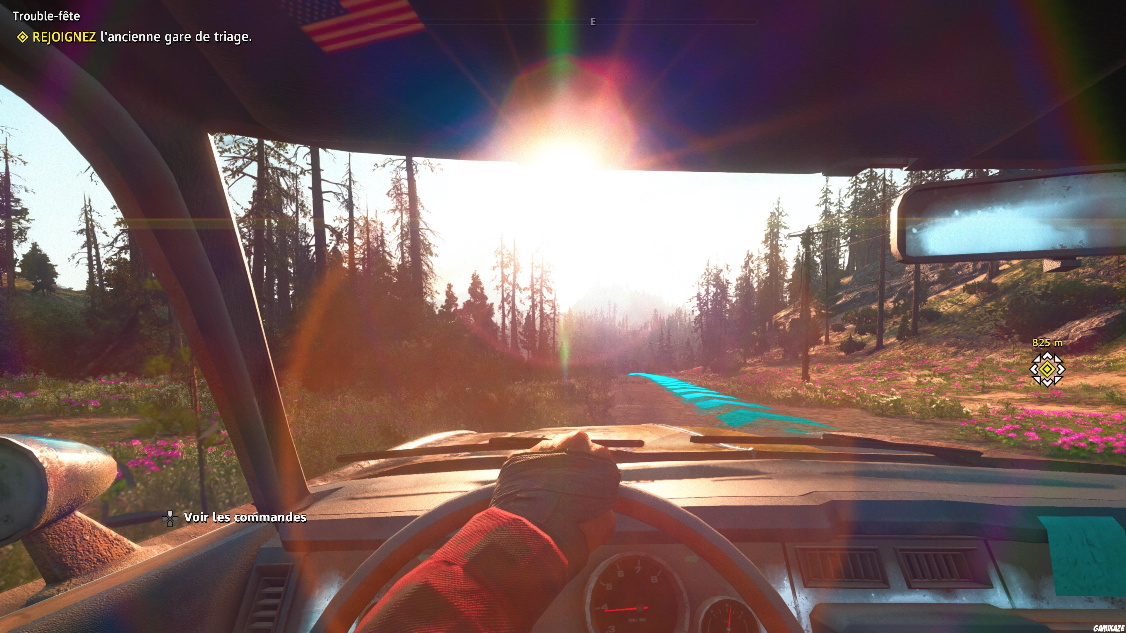 Far Cry : New Dawn