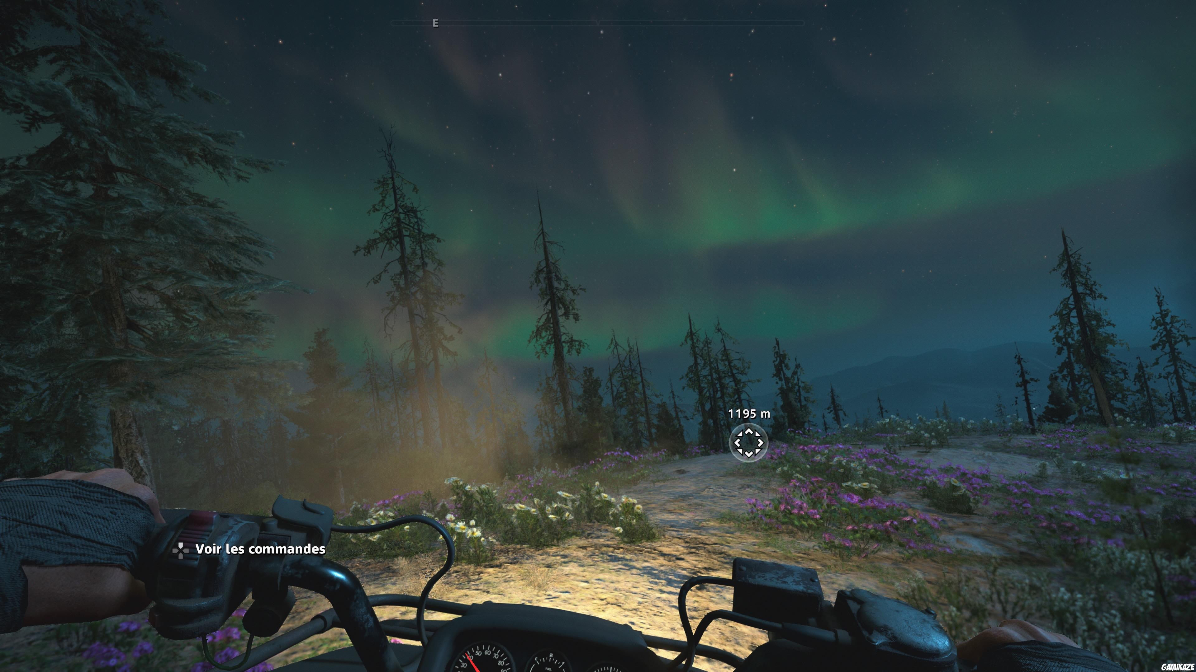 Far Cry : New Dawn