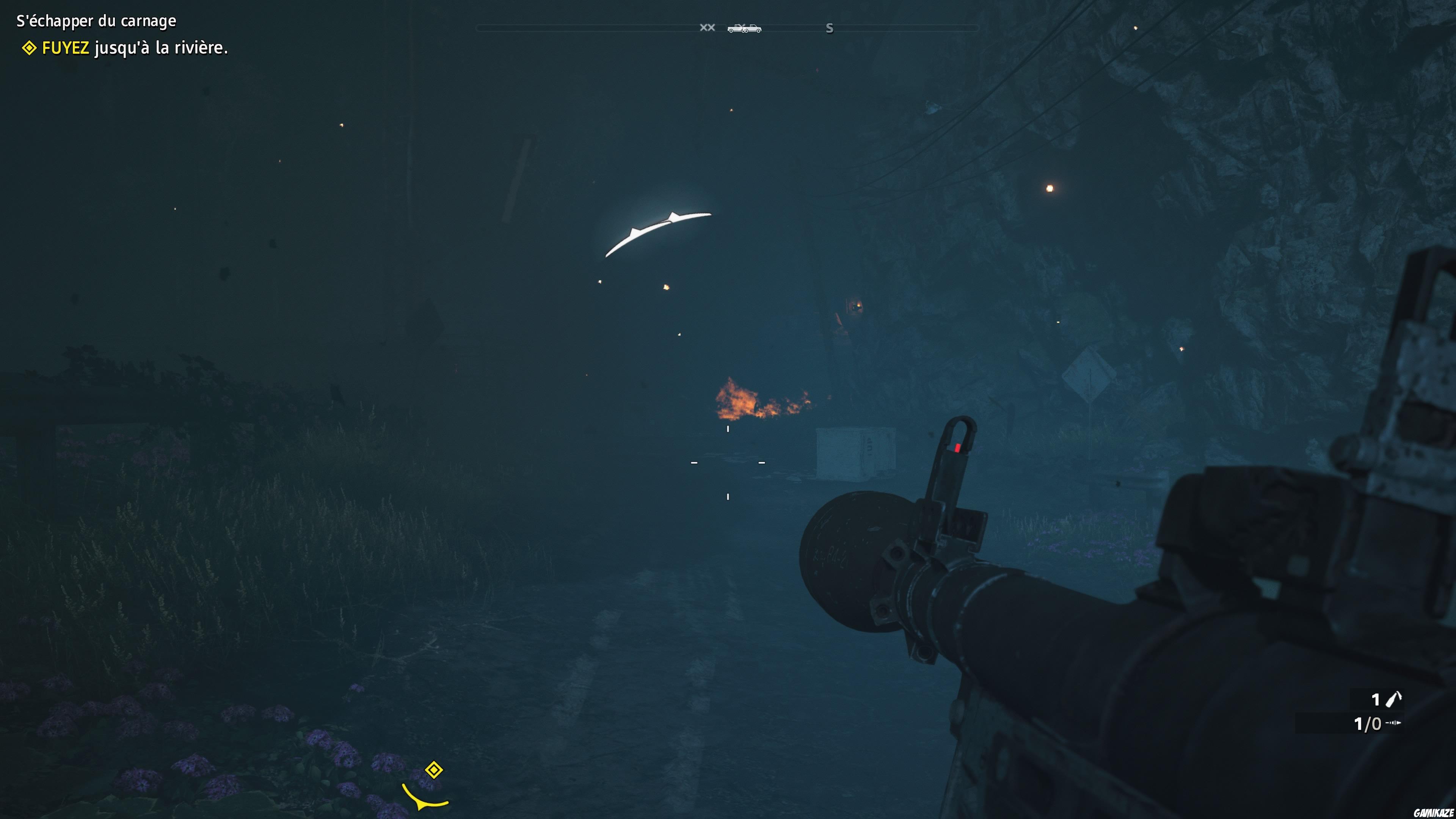 Far Cry : New Dawn