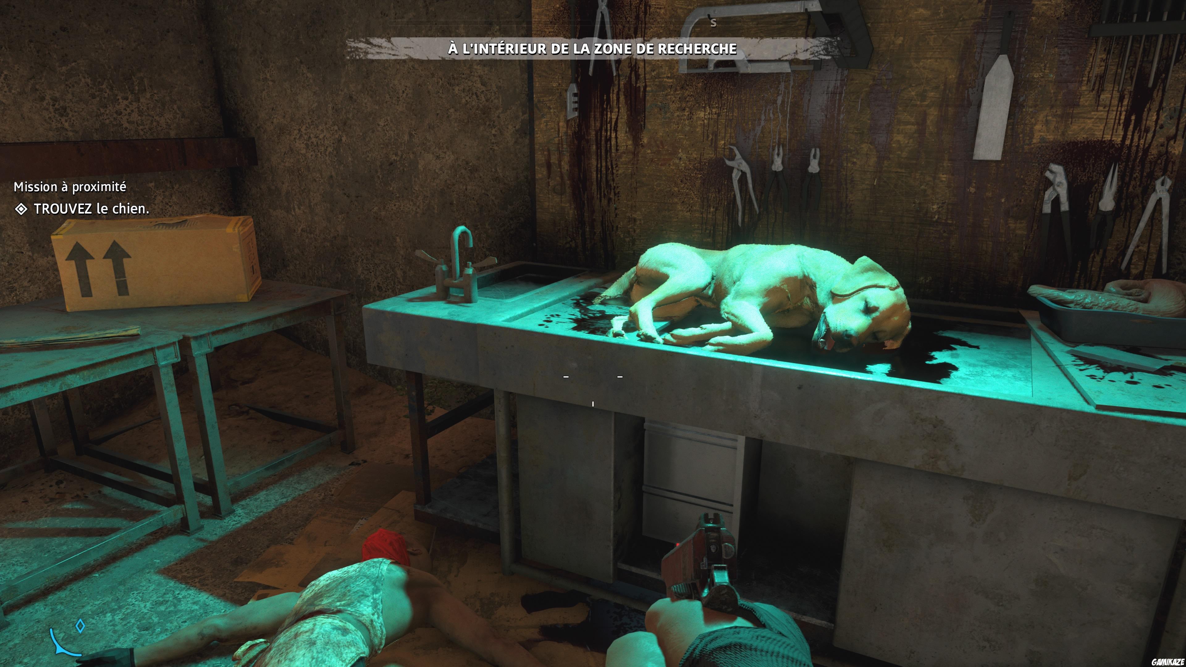 Far Cry : New Dawn