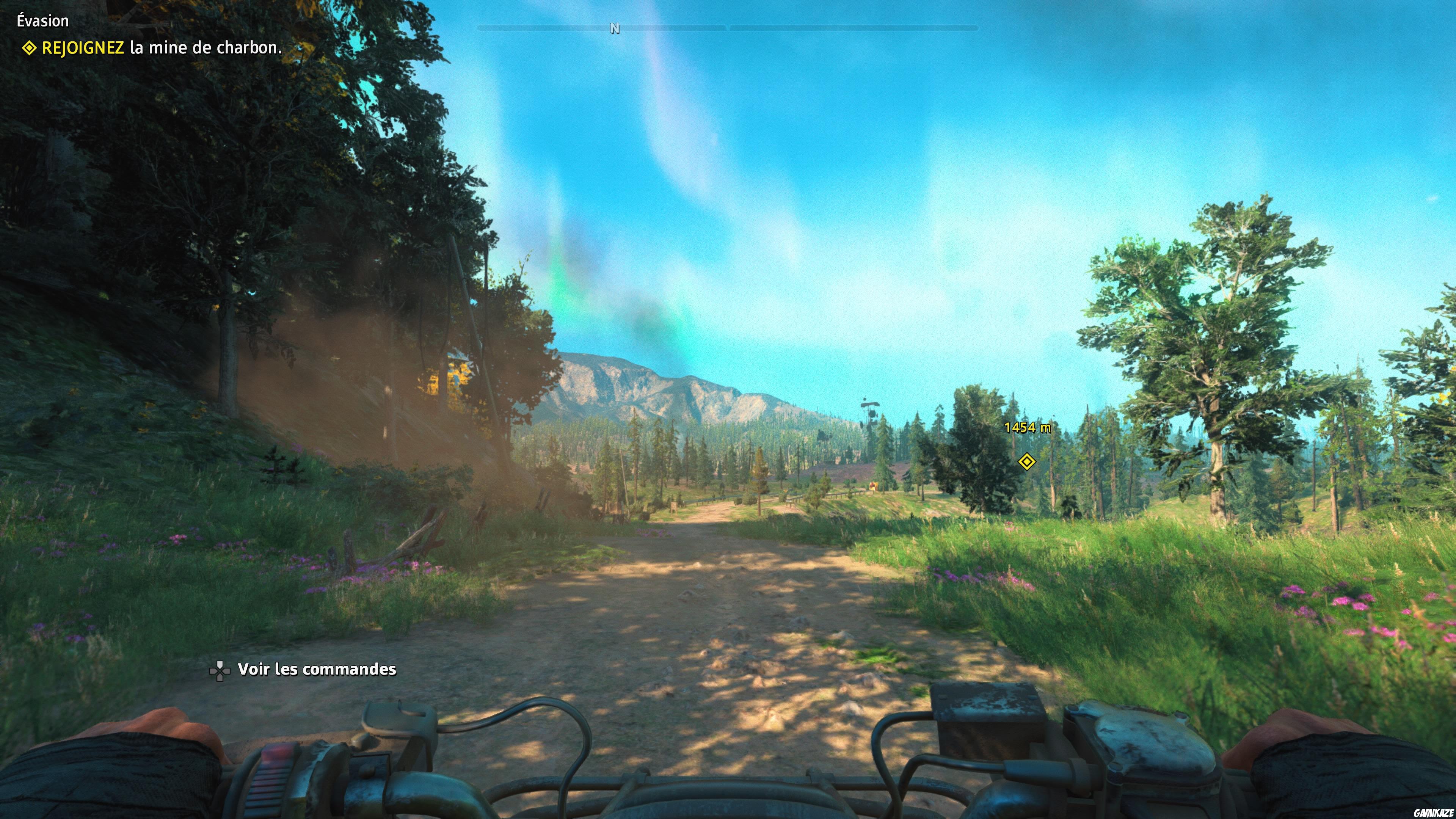 Far Cry : New Dawn