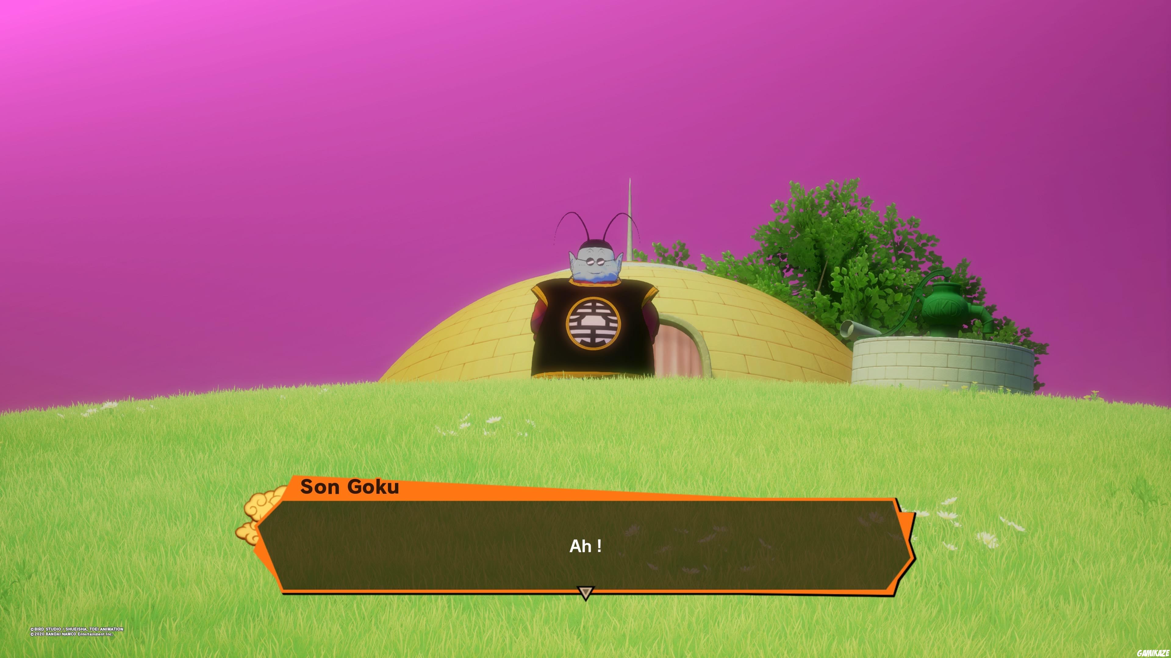 Dragon Ball Z Kakarot