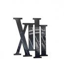 game type Action XIII : Remake