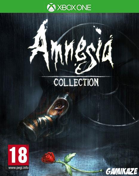 cover Amnesia : Collection xone