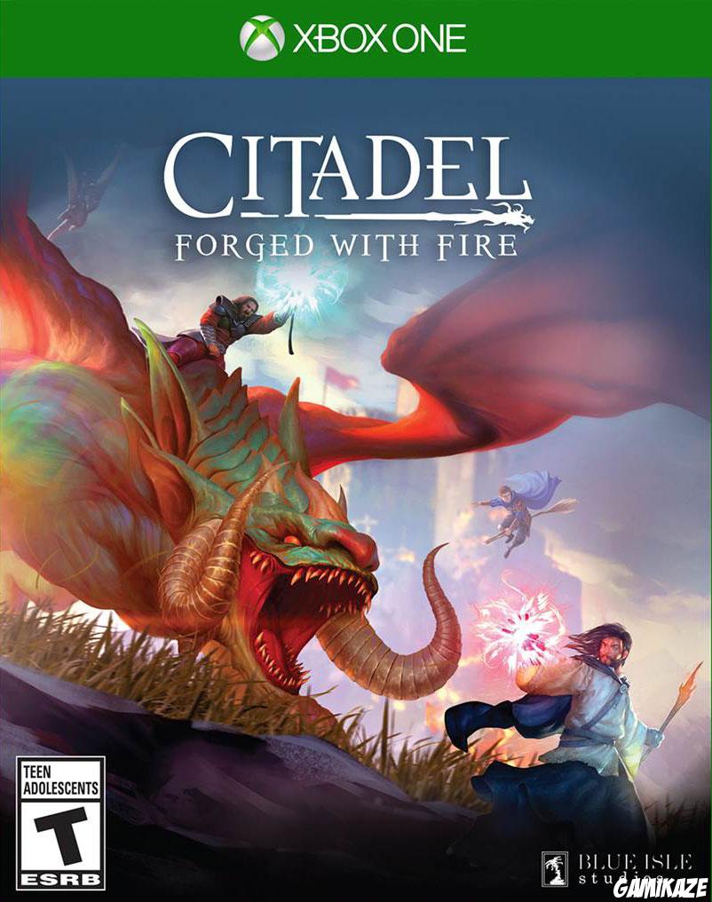 cover Citadel : Forged with Fire xone