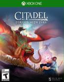 game type RPG Citadel : Forged with Fire