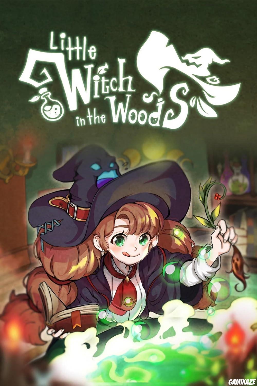 cover Little Witch in the Woods xone