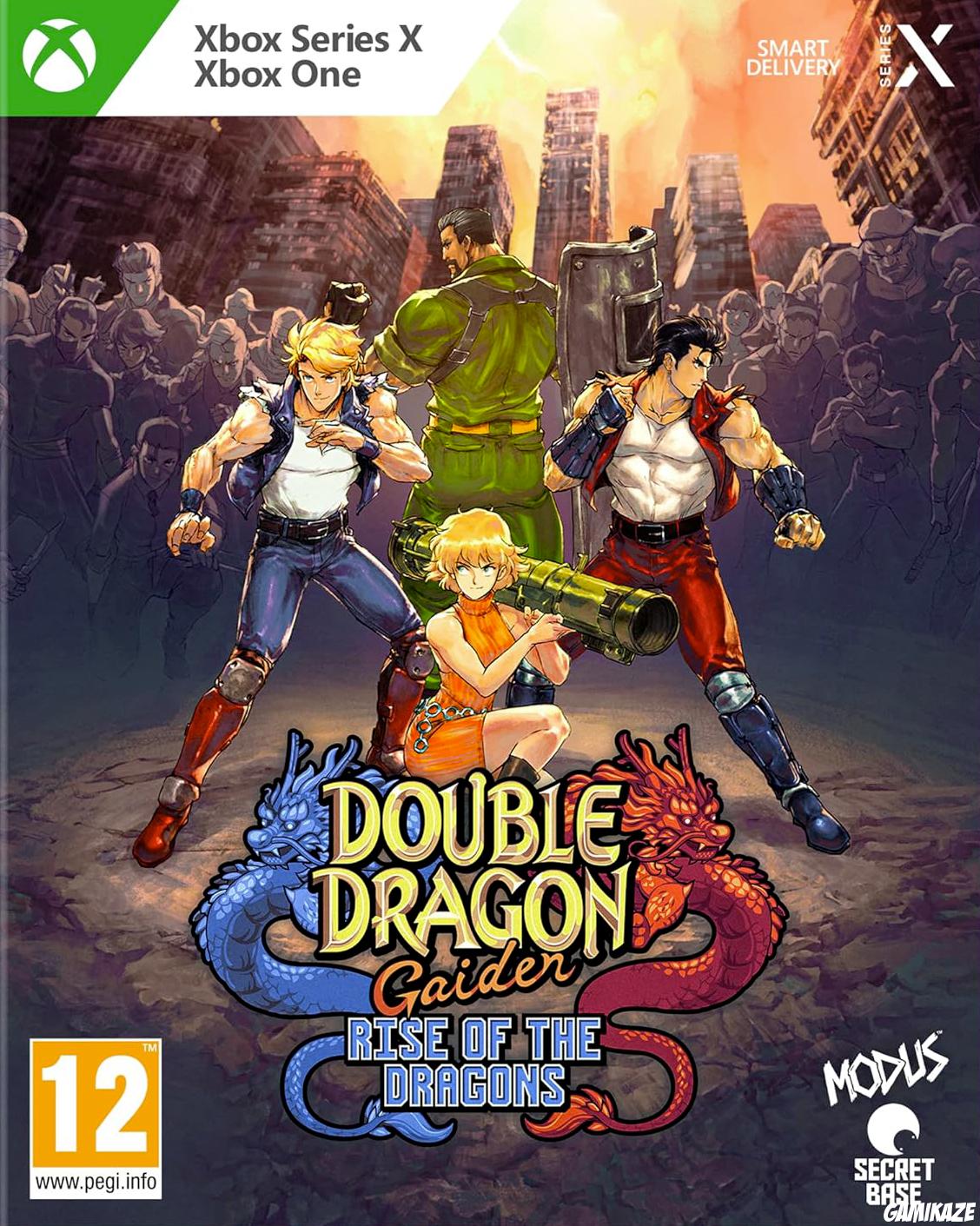 game type Beat'em'all Double Dragon Gaiden : Rise of the Dragons