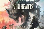 game type Action Wild Hearts