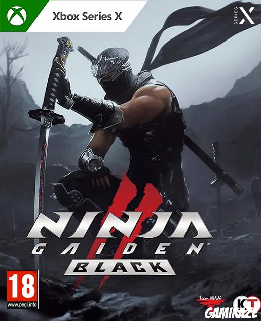 game dev Team Ninja Ninja Gaiden II Black