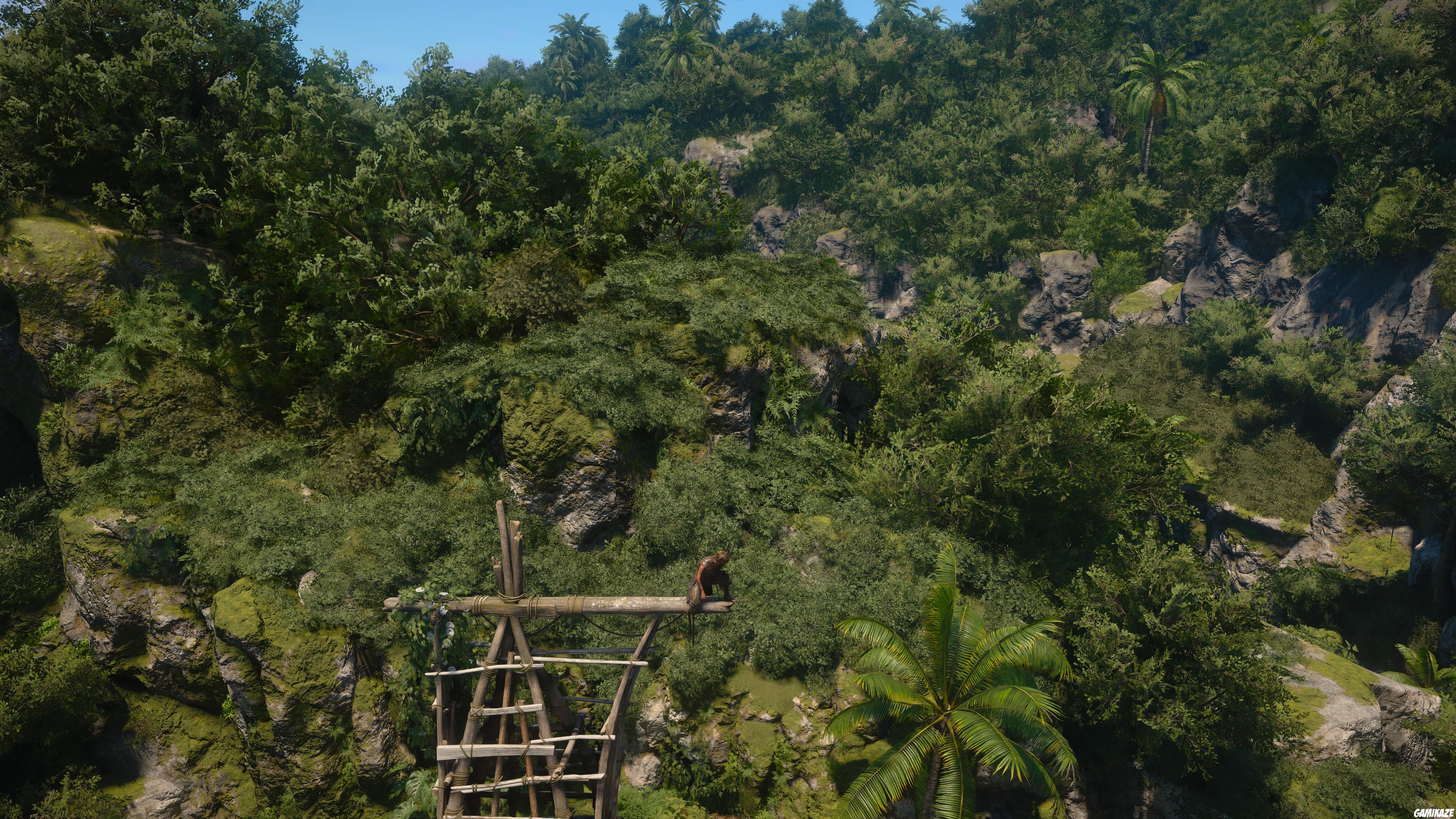 Assassin’s Creed Black Flag Resynced