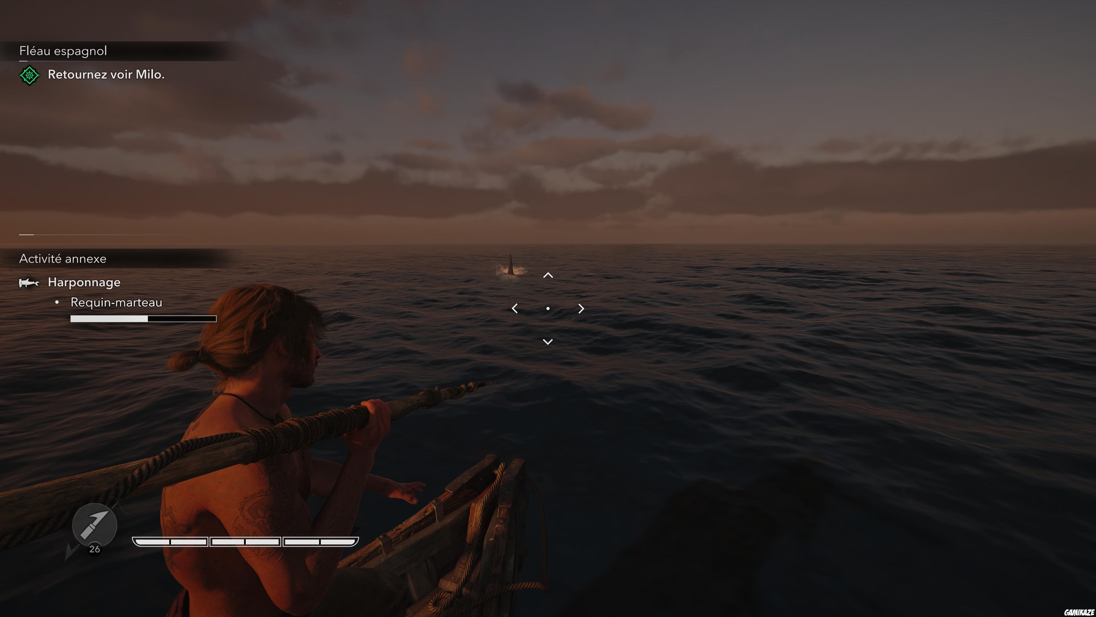 Assassin’s Creed Black Flag Resynced