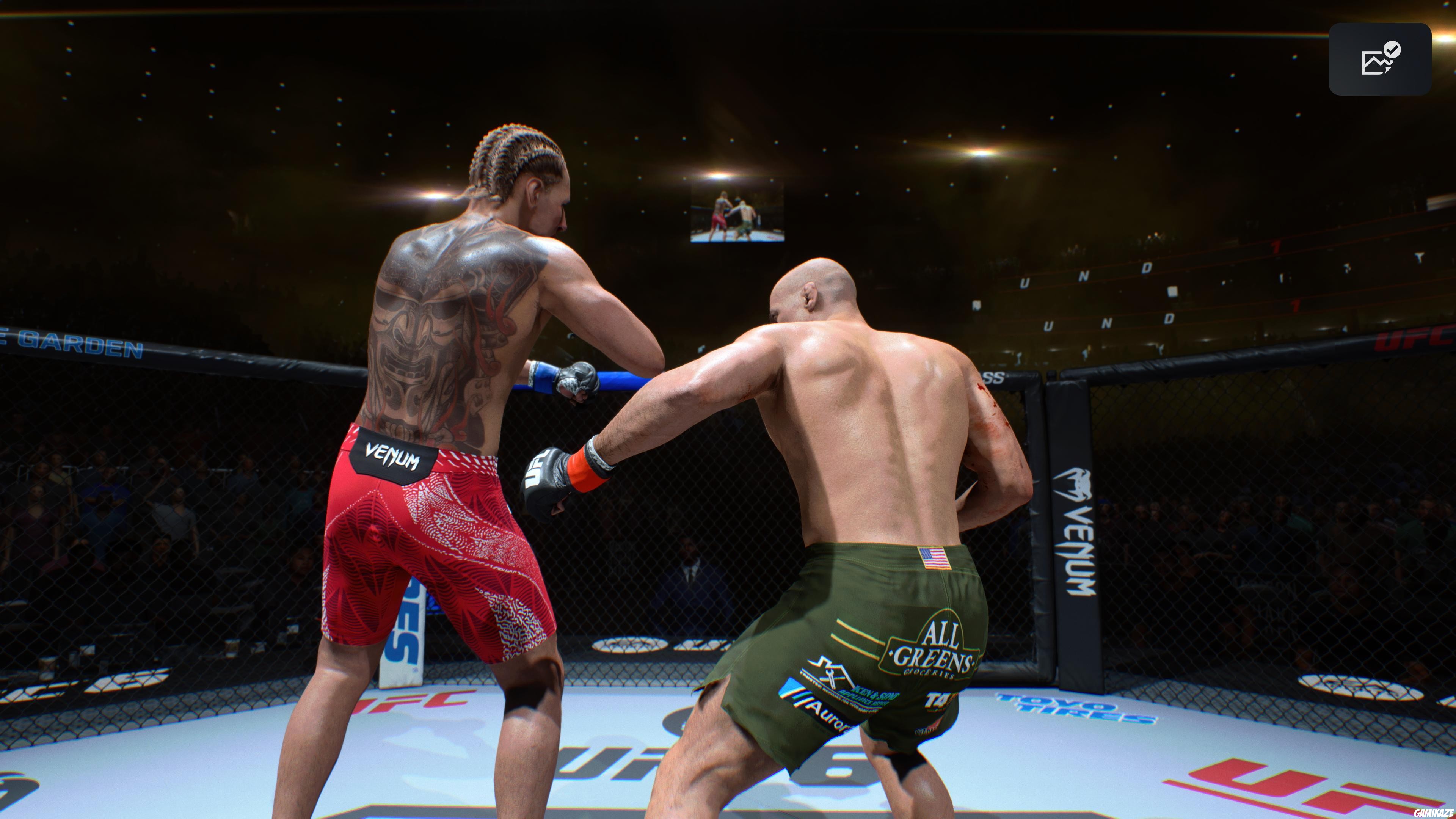 EA Sports UFC 6